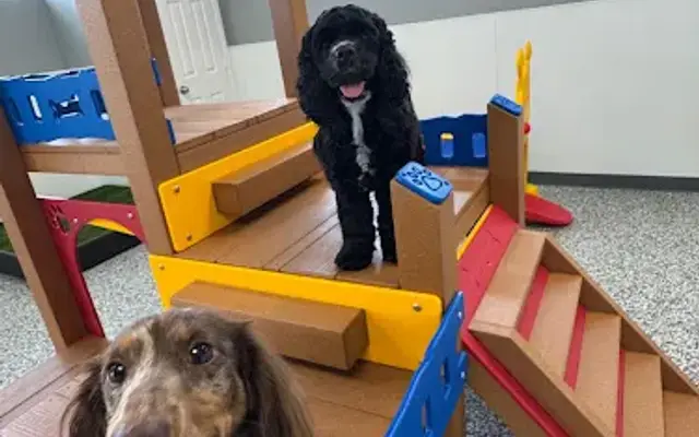 Pooch's Boarding and Daycare in Tomball, TX