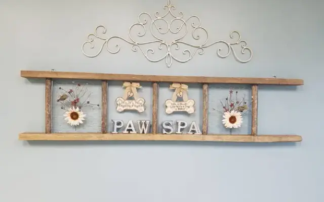 The Paw Spa LLC in Isanti, MN