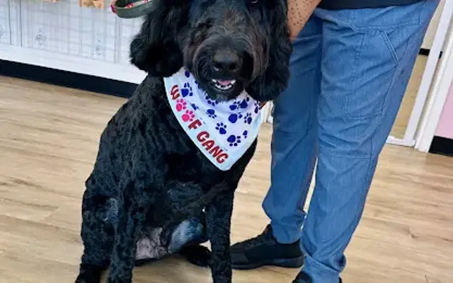 Woof Gang Bakery & Grooming Christenbury in Concord, NC