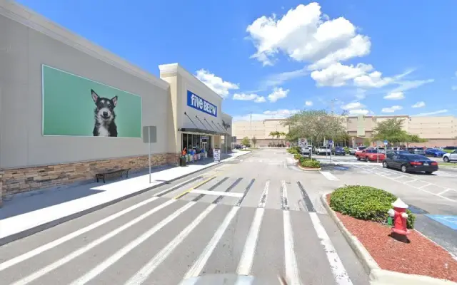 PetSmart Grooming in Oldsmar, FL