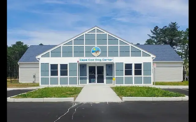 Cape Cod Dog Center in Mashpee, MA