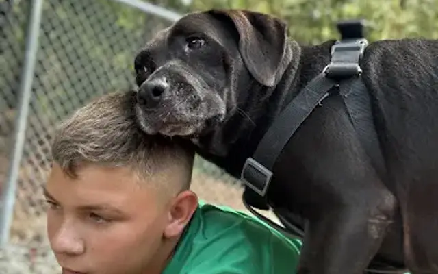 Keller Creek Boarding & Grooming in Carnesville, GA