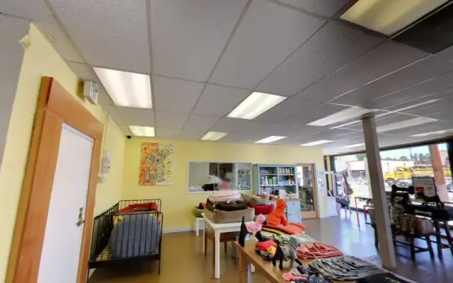 marina dog grooming by venicepets in Los Angeles, CA