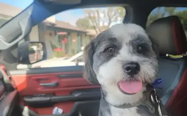 Bonnie's Pampered Pets in Corona, CA