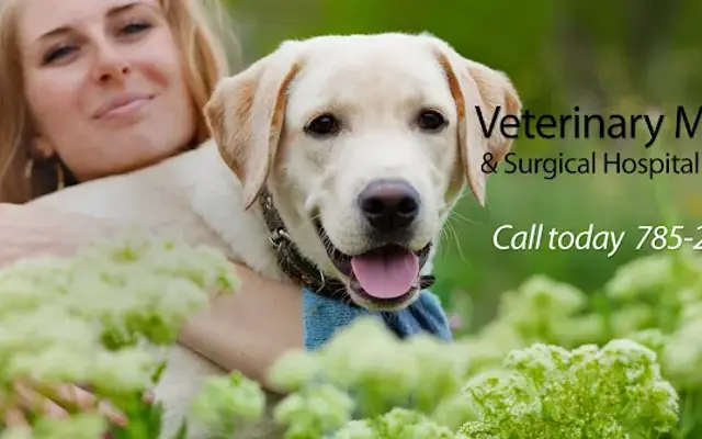 Veterinary Medical & Surgical Hospital of Topeka in Topeka, KS
