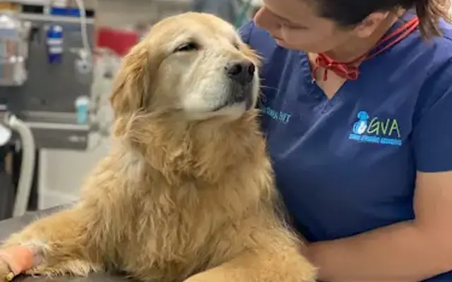 Russell Ridge Animal Hospital in Lawrenceville, GA