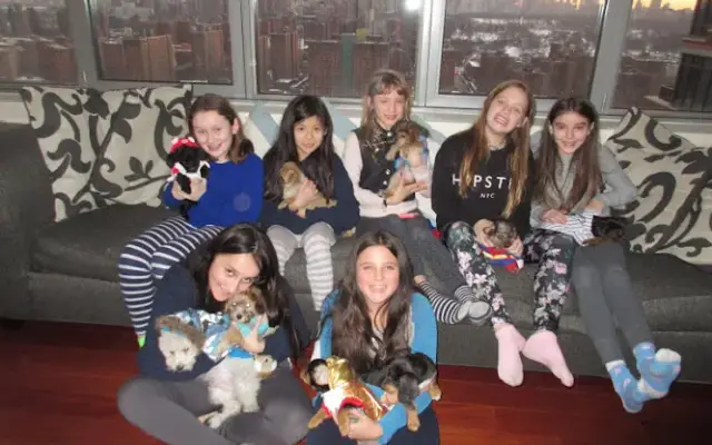 The Original Puppy Party! in Brooklyn, NY