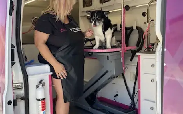 Puparazzi Mobile Pet Spaw in Sun City, AZ