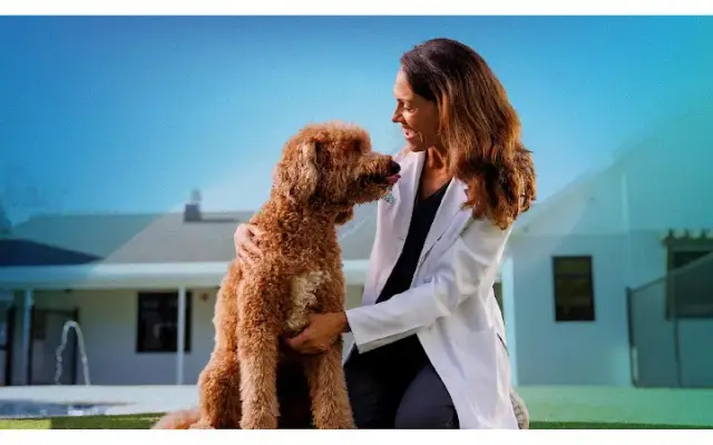 NewDay Veterinary Care Lake Buena Vista in Orlando, FL