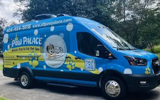 Paw Palace in Decatur, GA