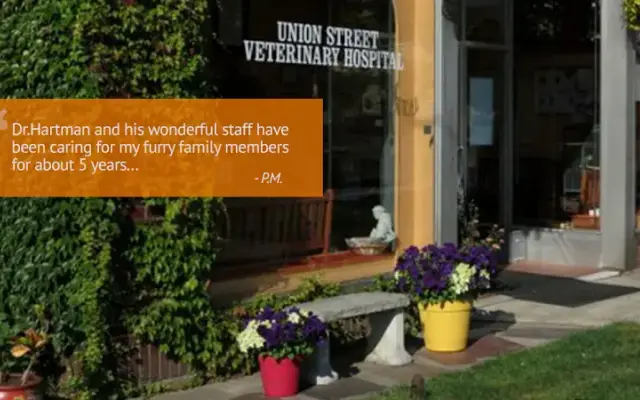 Union St Veterinary Hospital in Schenectady, NY