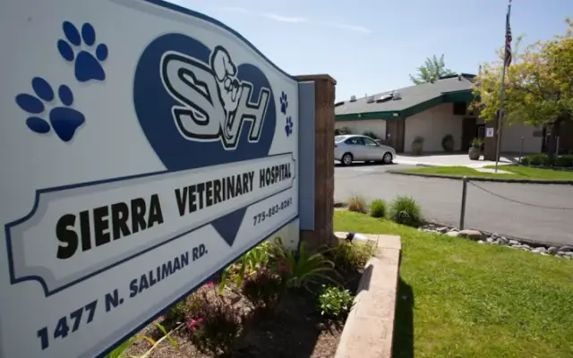 Sierra Veterinary Hospital in Carson City, NV