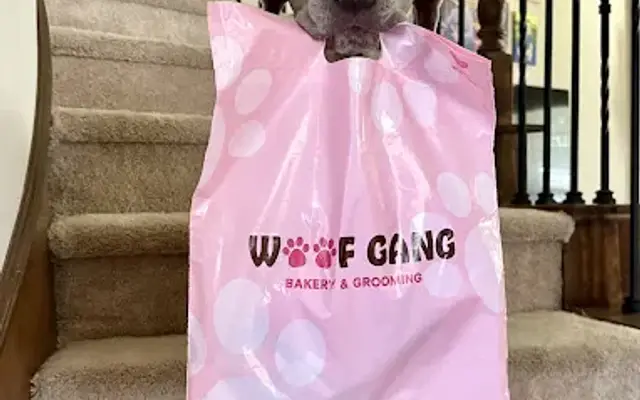 Woof Gang Bakery & Grooming Highland Village in Highland Village, TX