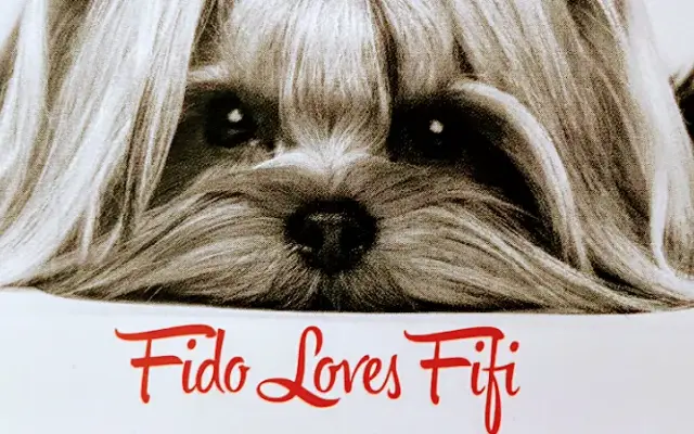 Fido Loves Fifi Pet Salon in Amityville, NY