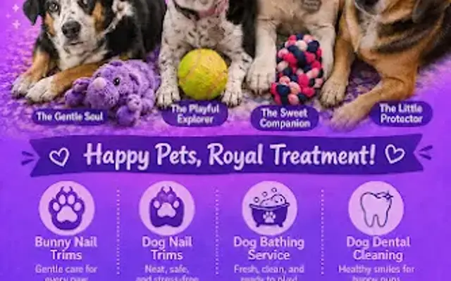 Sav’s Royal Pawcare in Freeport, FL