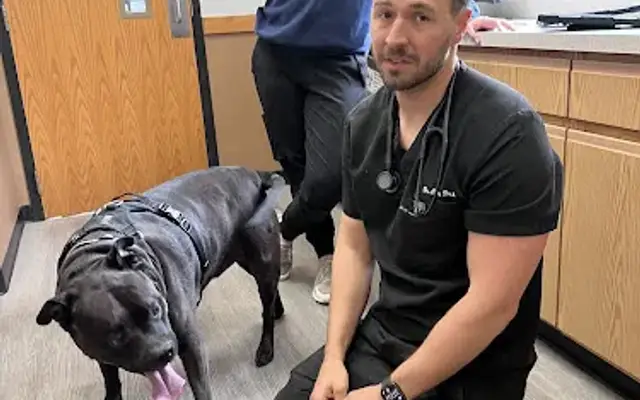Healthy Pets of Lewis Center in Lewis Center, OH