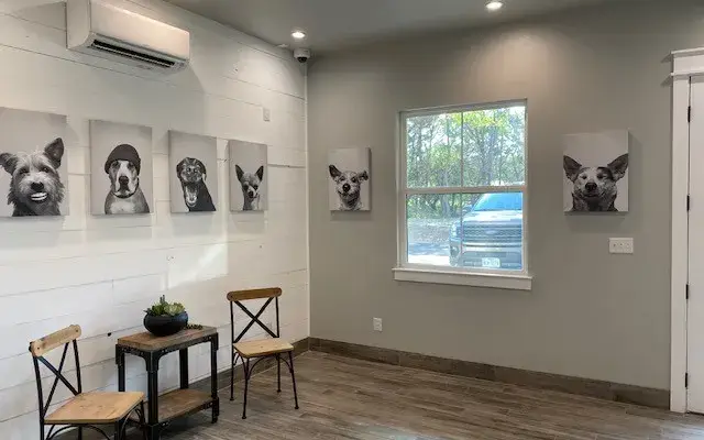 Hound Haus in New Braunfels, TX