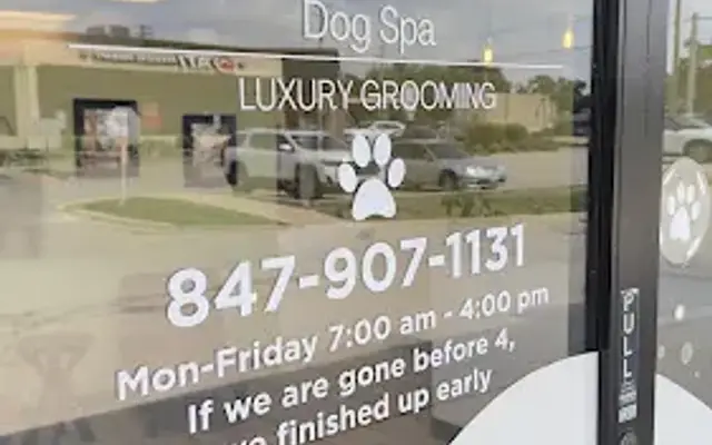 Darcy's Dog Spa in Palatine, IL