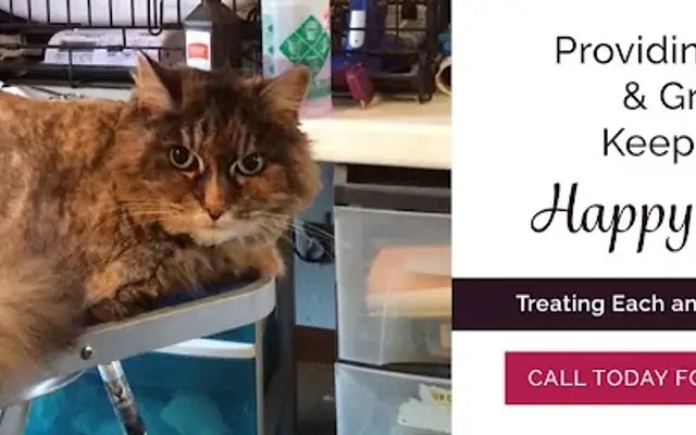 Cats' Inn Grooming & Boarding in Newbury Township, OH