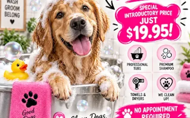 Zoomies Dog Spa in Vero Beach, FL