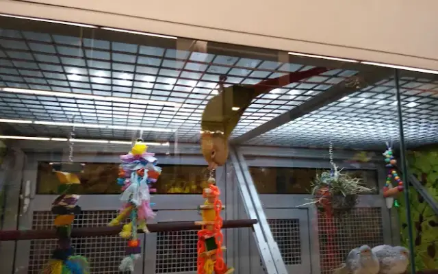 PetSmart in Prosper, TX
