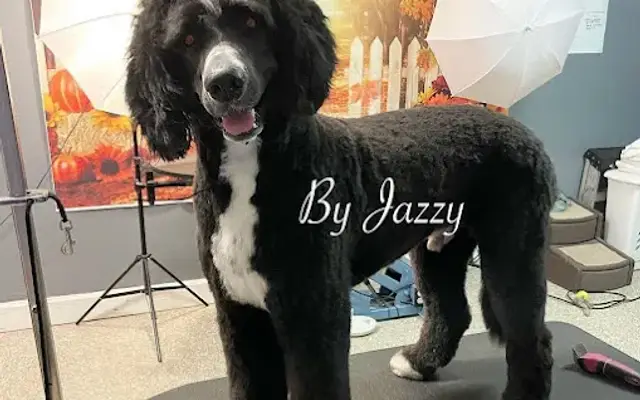 Tails and Trails Mobile Pet Spa in Naples, FL