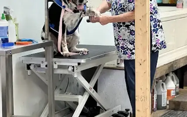 Carol’s Grooming in Lecanto, FL