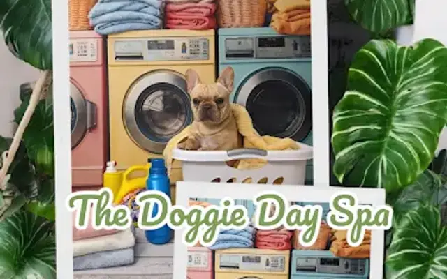 The Doggie Day Spa in Barnhart, MO