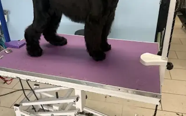 Poochie's Dog Grooming in Monterey Park, CA