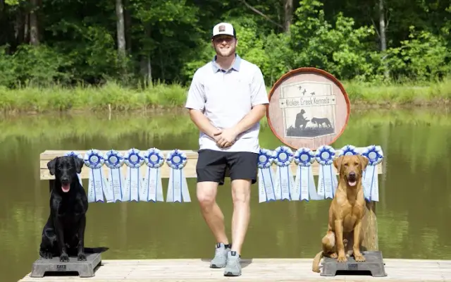 Kiokee Creek Kennels and Spa in Appling, GA