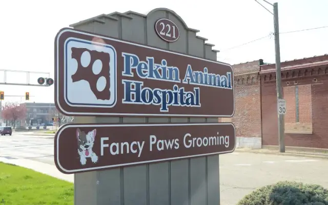 Fancy Paws Grooming in Pekin, IL