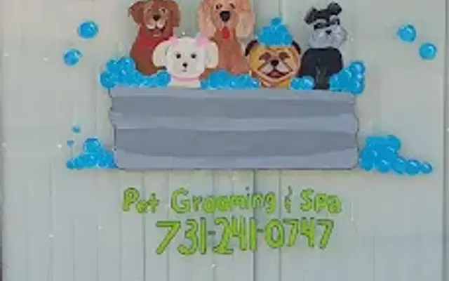 Michelle's pet Grooming & Spa in Humboldt, TN