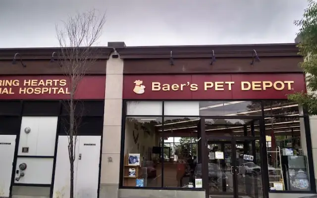 Caring Hearts Animal Hospital in Mashpee, MA