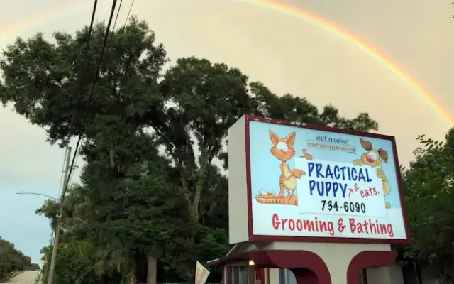 Practical Puppy Grooming in DeLand, FL