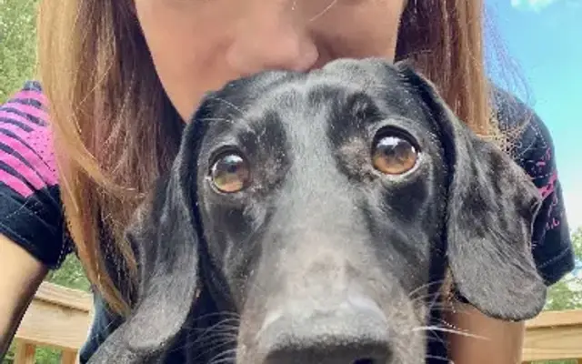 Four Seasons Pet Salon LLC in Hendersonville, NC