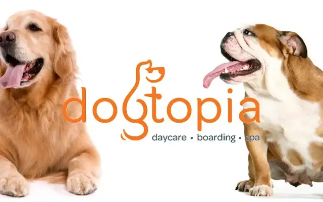 Dogtopia of North Austin in Austin, TX