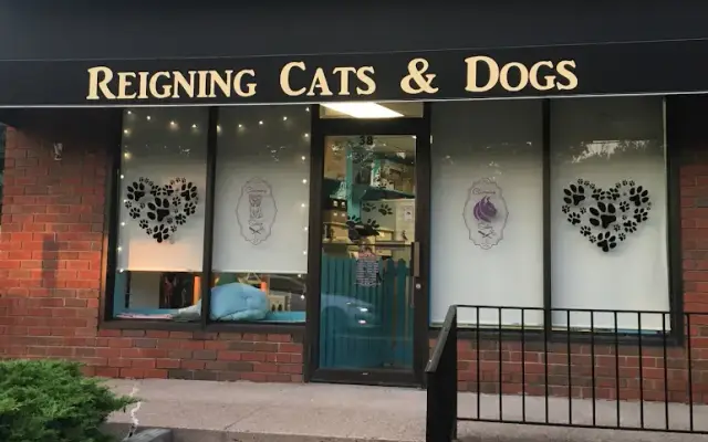Reigning Cats & Dogs in Hillsdale, NJ