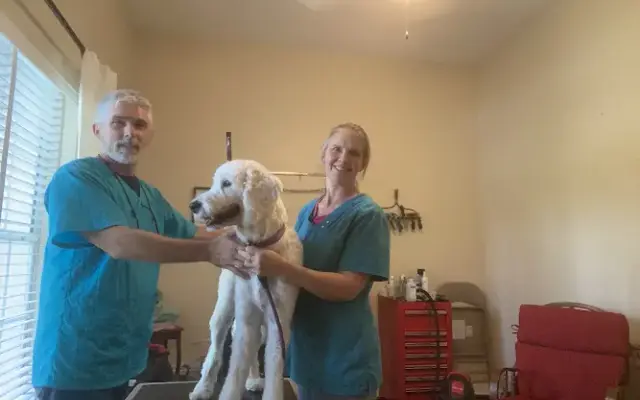 Fluffy puppies dog grooming in Winter Haven, FL