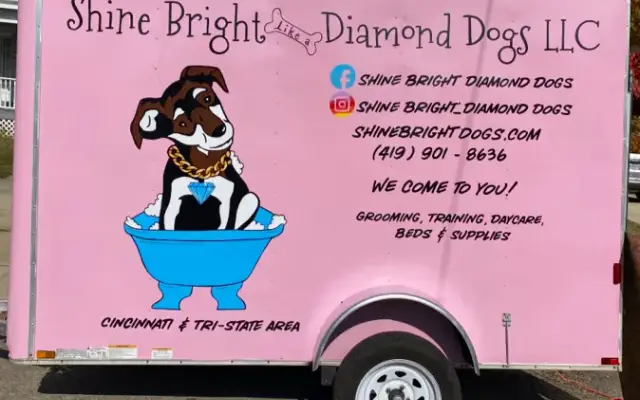 Shine Bright like a Diamond Dogs LLC in Cincinnati, OH