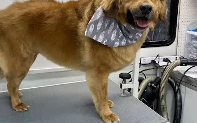Charmed Pet Grooming in Princeton, NC