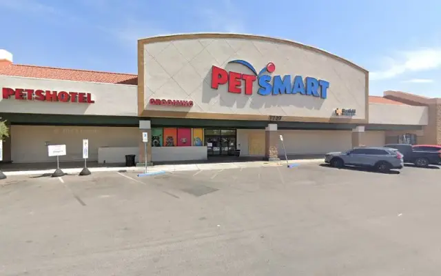 PetSmart Doggie Day Camp in Tucson, AZ