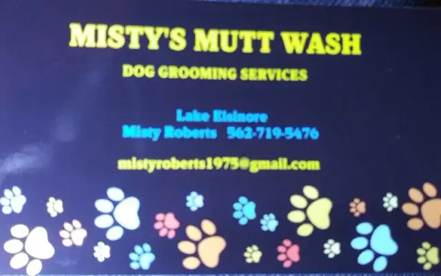 Misty's Mutt Wash in Murrieta, CA