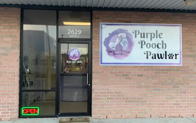 Purple Pooch Pawlor in Pensacola, FL