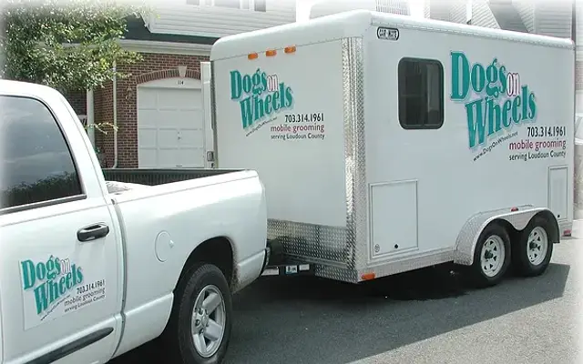 Dogs on Wheels in Leesburg, VA