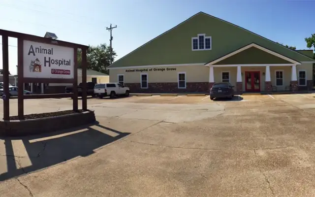 Animal Hospital of Orange Grove in Gulfport, MS