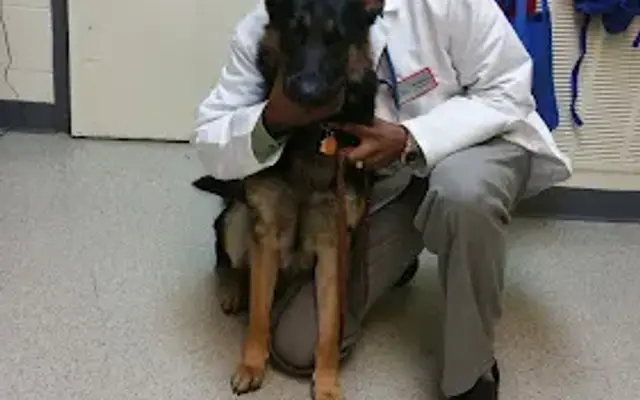 Upper Marlboro Veterinary Hospital in Upper Marlboro, MD