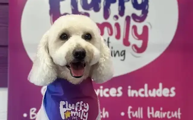 fluffy family mobile pet grooming in Hutto, TX