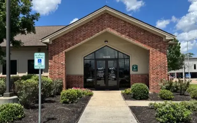 VCA Spring Branch Animal Hospital in Houston, TX