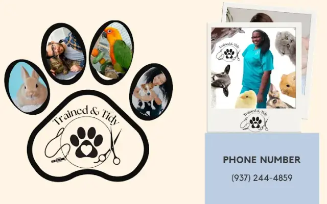 Trained & Tidy in Springfield, OH
