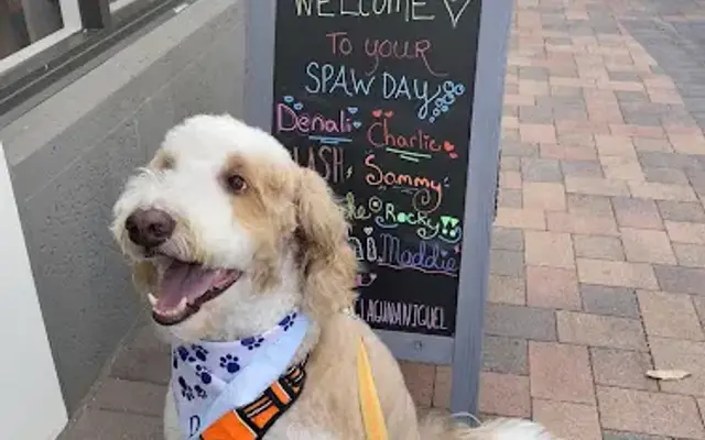 Woof Gang Bakery & Grooming Laguna Niguel in Laguna Niguel, CA